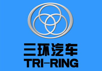 湖(hú)北三環車(chē)橋案例