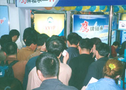 鷹牌軸承(cheng)鄭州參展