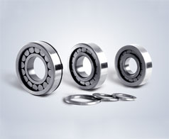 圓柱滾(gǔn)子軸承(chéng)--鷹牌軸(zhou)承