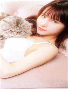 花火1997