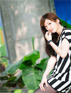新上门女婿电视剧