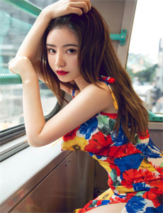 河豚