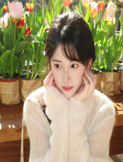 无所畏惧的女孩完整剧情分析：角色关系与情感线索详细拆解